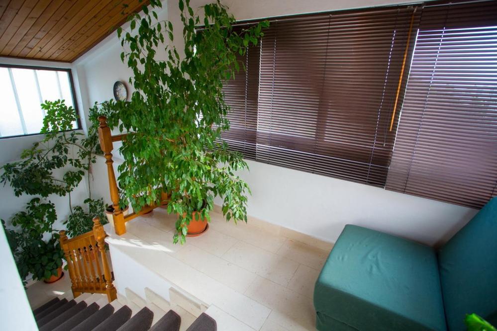 Apartments Tanja ポドゥゴラ エクステリア 写真